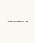 Lincang 2025 (Ancient Tea Tree) — dry leaf