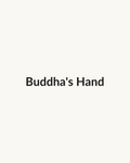 Buddha's Hand — dry leaf
