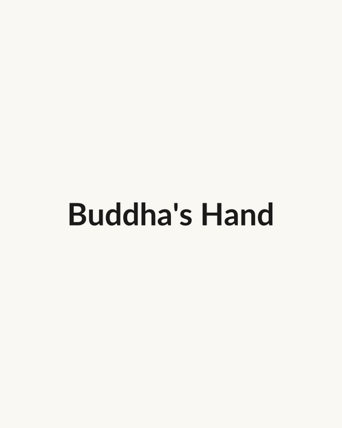 Buddha's Hand — dry leaf