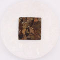 2025 Ancient Tea Tree White Tea Square